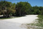 The front is open to the street. The back is densely packed with foliage. There is a gravel drive in the center of the site. A picnic table next to trees is on the left.