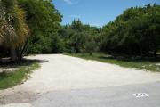 The front is open to the street. The back is densely packed with foliage. There is a gravel drive in the center of the site. Trees surround the site. A fire ring is on the left.
