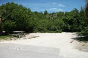 The front is open to the street. The back is packed with foliage. There is a gravel drive in the center of the site. A picnic table with a fire ring behind it is on the left.
