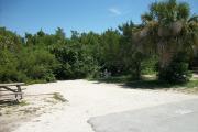 The front is open to the street. The back is packed with foliage. There is a gravel drive in the center of the site. A picnic table is on the left. Trees surround the site.