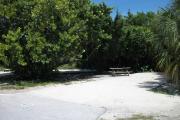 The front is open to the street.  The back is filled with greenery. There is a gravel drive in the center of the site. A picnic table with a fire ring in front of it is on the left. Trees surround the site.
