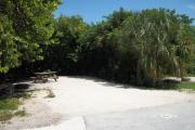 The front is open to the street. The back is filled with greenery. There is a gravel drive in the center of the site. A picnic table with a fire ring in front of it is on the left. Trees surround the site.