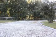 Photo: 4, ROSS PRAIRIE. View of campsite with picnic table and fire ring.