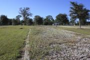 Photo: 14, Loop B. View of campsite.