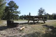 Photo: 008, SANTOS CAMPGROUND. View of campsite with picnic table with fire ring.