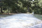Photo: 016, SANTOS CAMPGROUND. View of campsite with water and electric hookups and picnic table with fire ring.