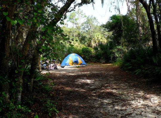 Campground Details - Oscar Scherer State Park, FL - Florida Department ...